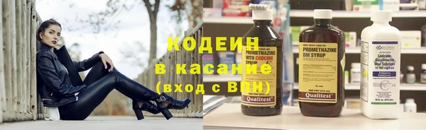 прущие крисы Абаза