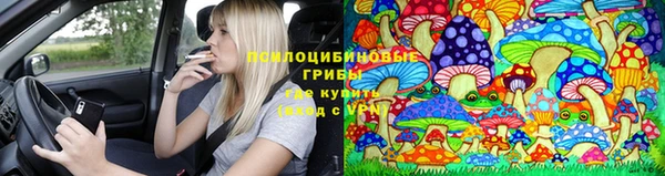 прущие крисы Абаза