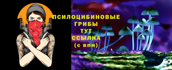 прущие крисы Абаза
