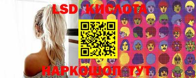 молекула духа Гатчина