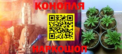 ALPHA-PVP Гай