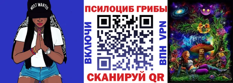 Псилоцибиновые грибы Psilocybine cubensis  Братск 