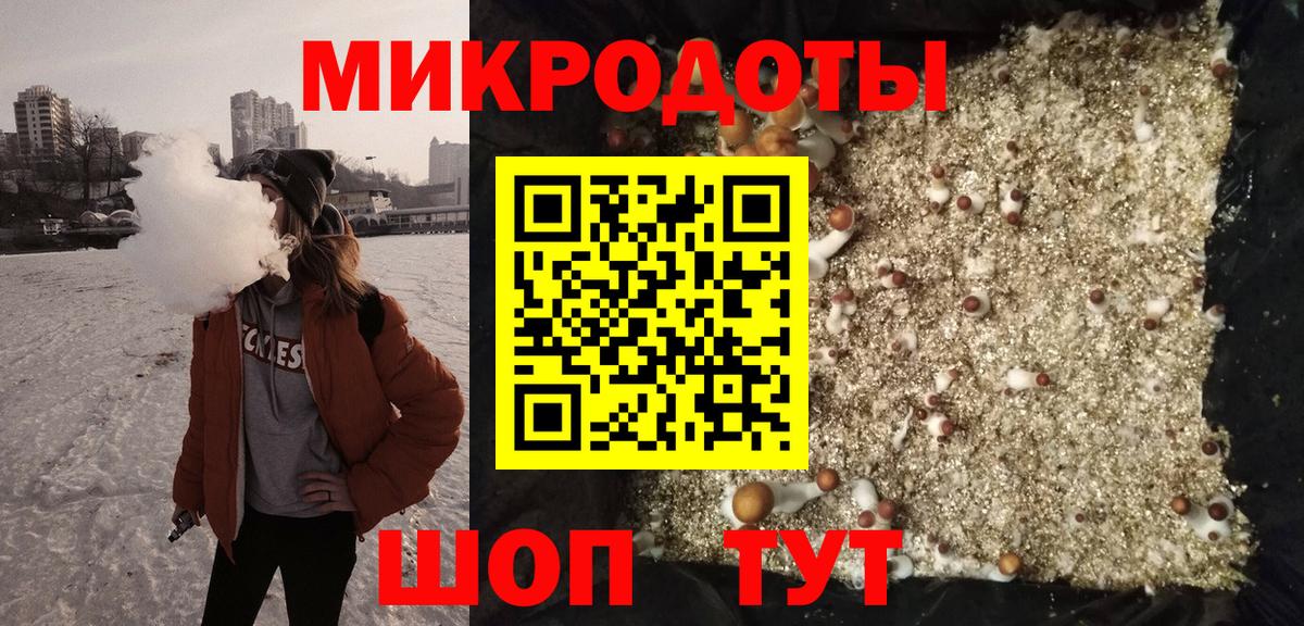 Галлюциногенные грибы Psilocybine cubensis  Вход с VPN  Братск  Псилоцибиновые грибы прущие грибы 